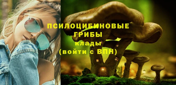 прущий лед Алексин