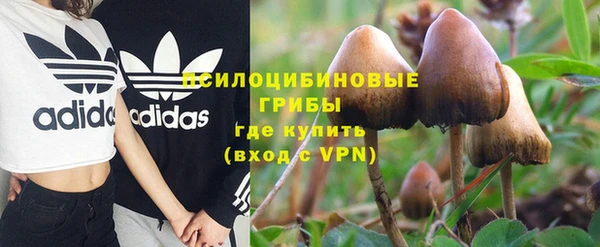 прущий лед Алексин