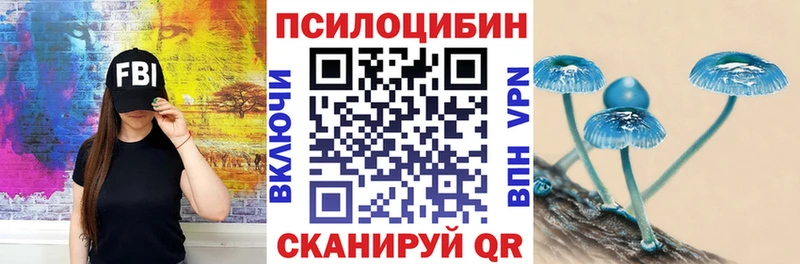 Псилоцибиновые грибы Psilocybe  где купить   Октябрьск 